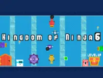 Kingdom Of Ninja 6